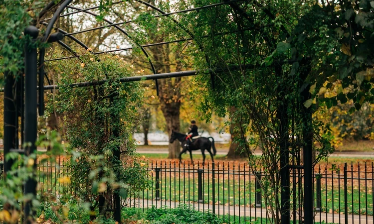 Hyde Park Rose Garden in autumn