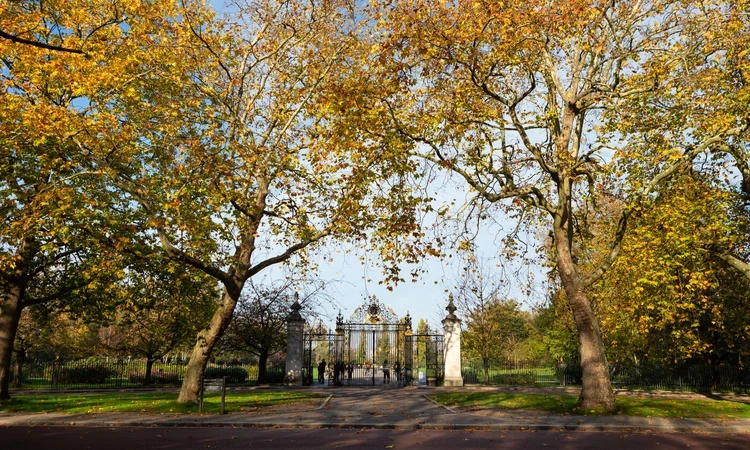 Queen Mary's Garden The Regent's Park Jubilee Gates autumn