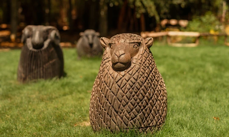 Carved wooden sheep