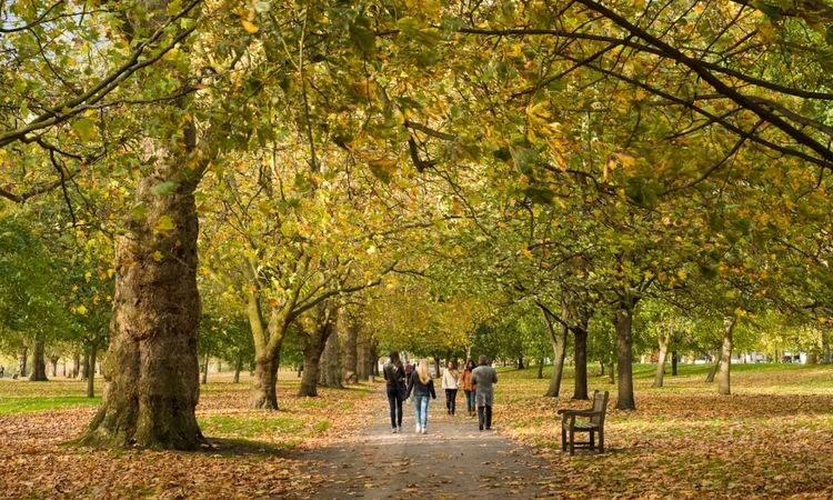 Visitors walking down Lover's Walk in Hyde Park in autumn