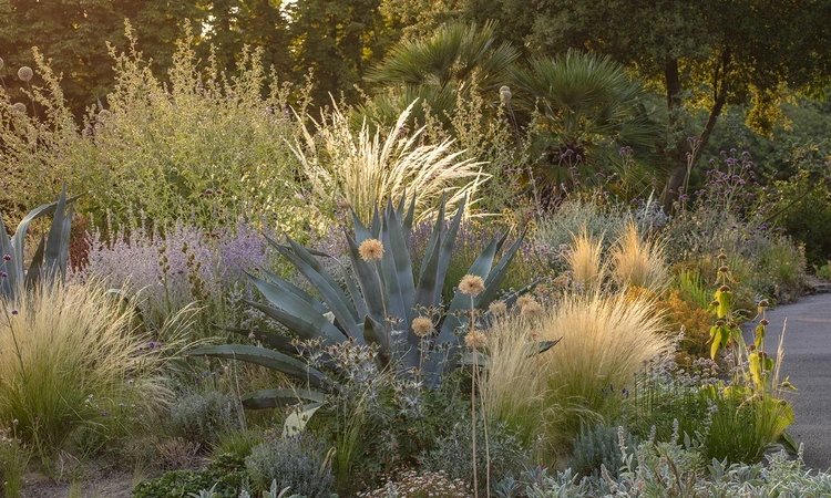 Climate resilient planting