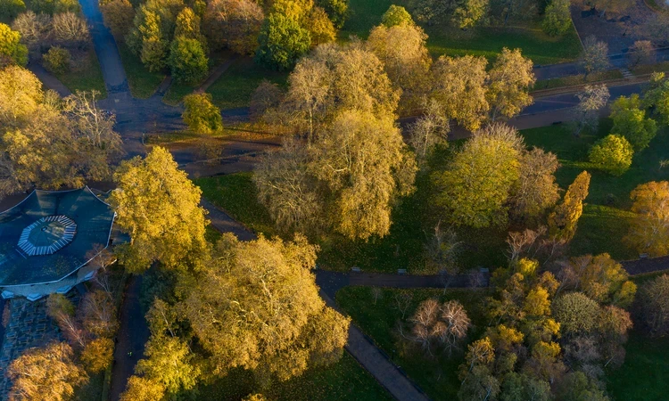 Aerial photograph of Hyde Park in autumn