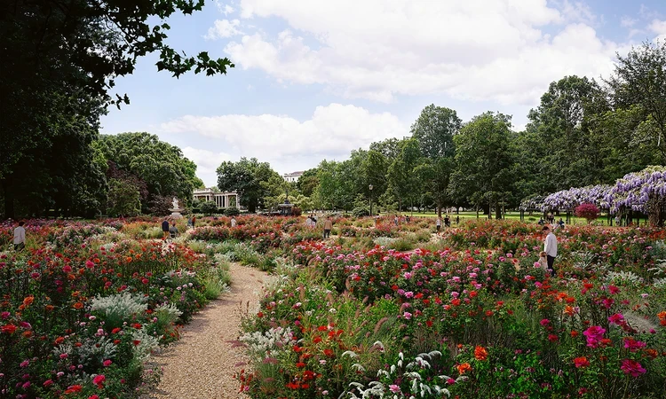 Artist's impression of flowers in the Hyde Park Rose Garden