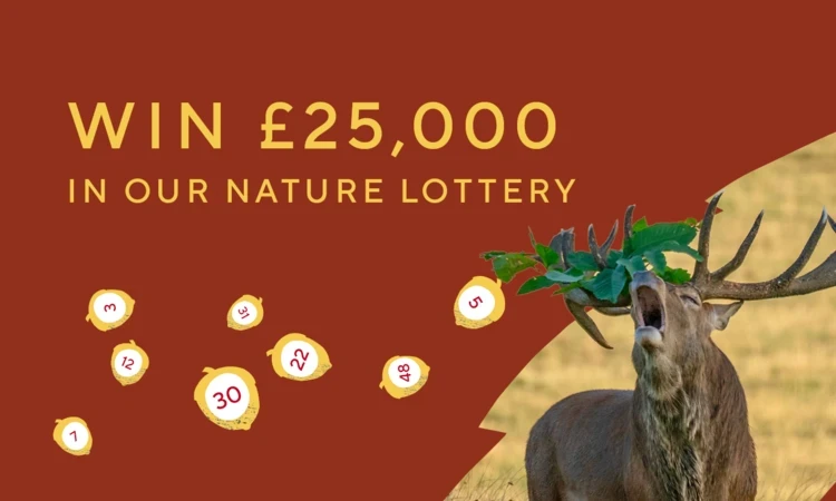 Nature Lottery promotional image - autumn