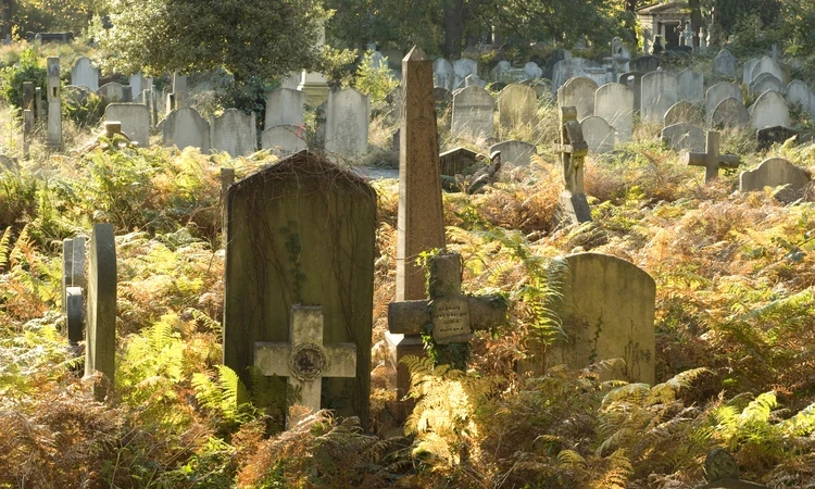 Brompton Cemetery headstones in autumnal light