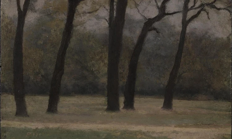 Fall of the Leaves, Kensington Gardens (1900) by Paul Fordyce Maitland