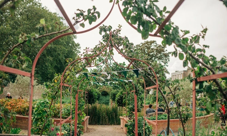 The Queen's Orchard garden