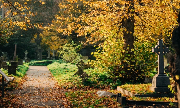 Cemetery path in autumn