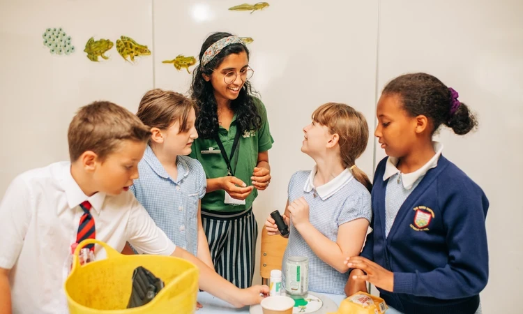 Primary school children learning in the parks