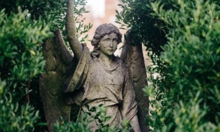 Image of an angel stature shrouded in greenery