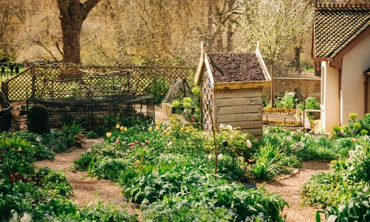 Duck Island allotment