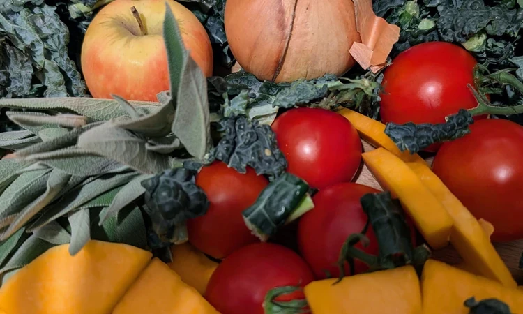 Fruit and vegetable ingredients