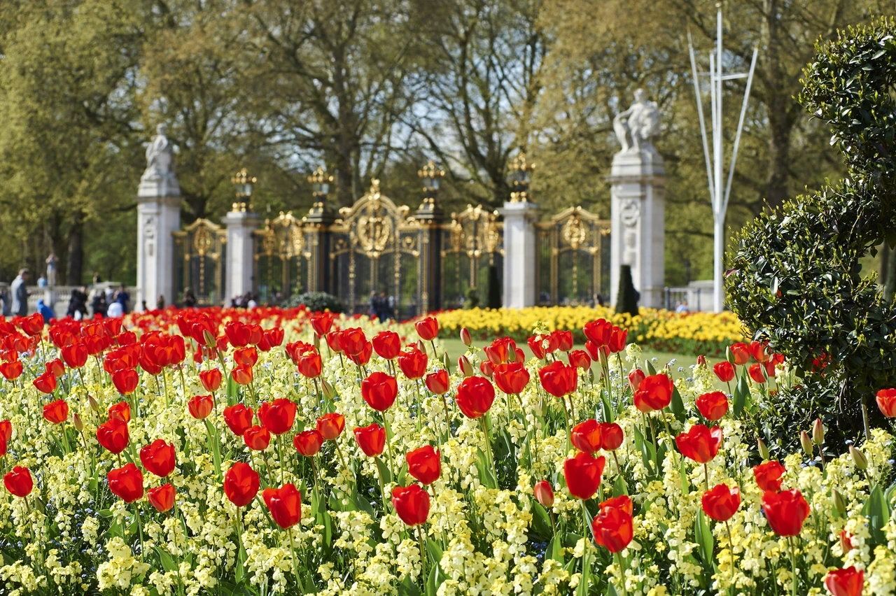 Flowers in front of Canada Gate