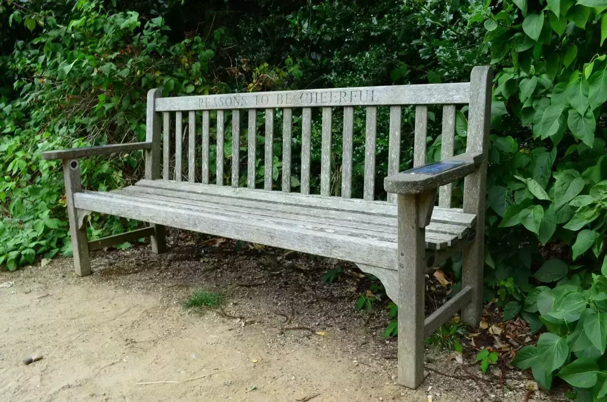 'Reasond to be cheerful' Ian Dury bench