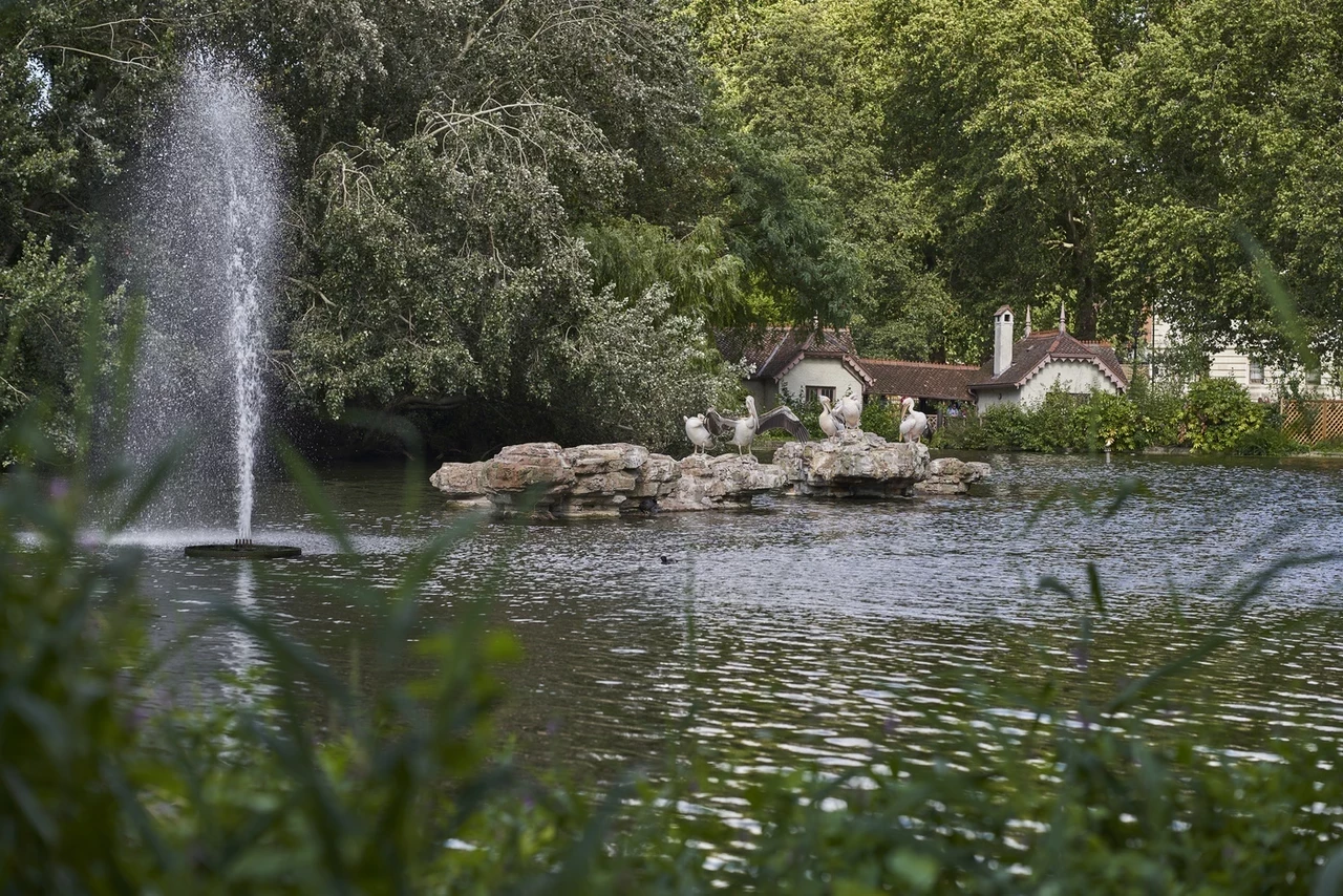 Tiffany fountain and Duck Island