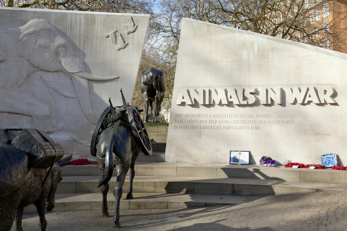 Animals in War memorial showing a horse and mule