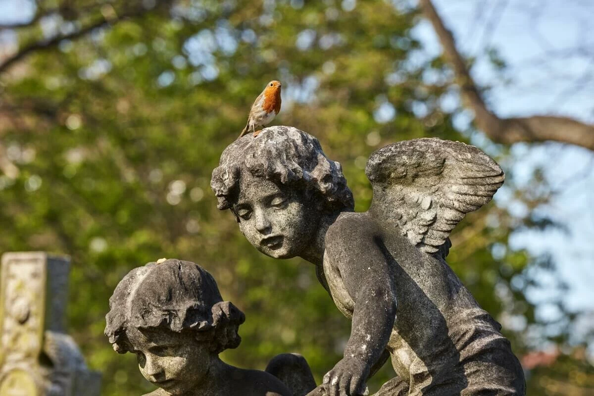 Robin perched on top of a statue