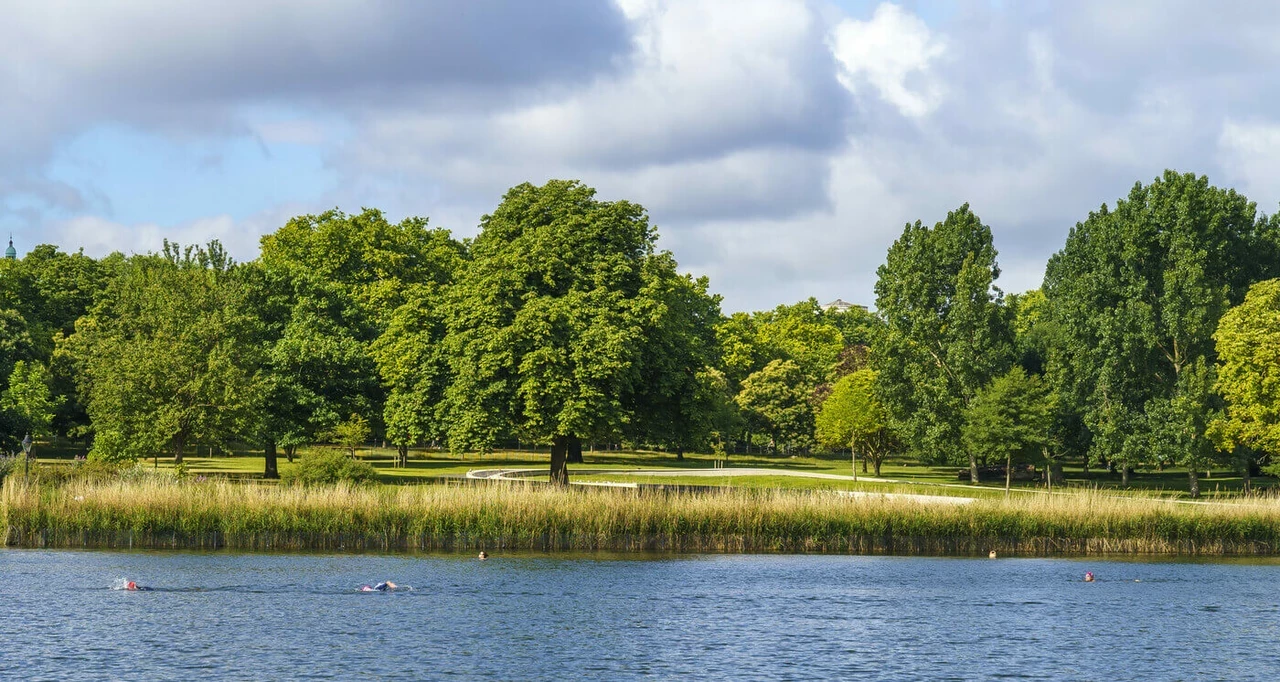 The Serpentine lake and trees in Hyde Park in the summer