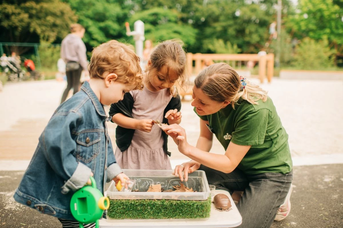 Children looking at wildlife