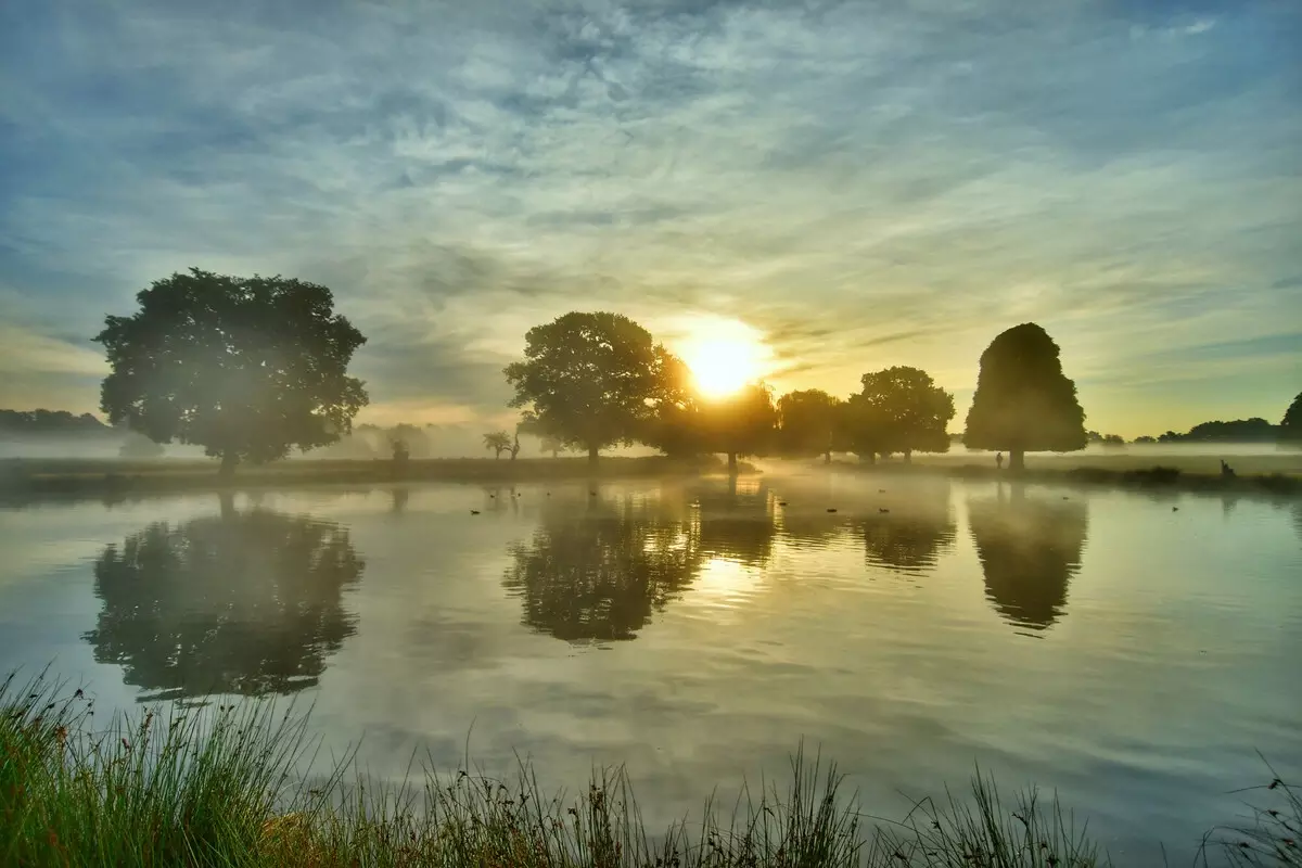 Lake in Bushy Park | Image credit: Astrid Tontson