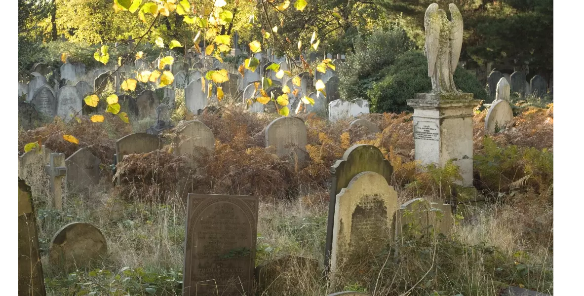 Gravestones and trees in Brompton Cemetery, one of the Royal Parks