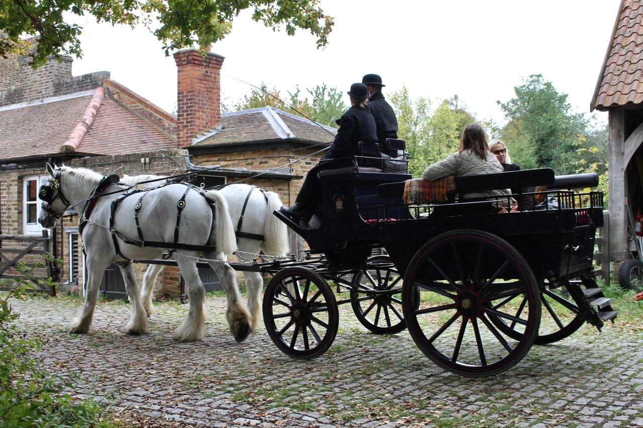 Shire horse rides in Richmond Park 2