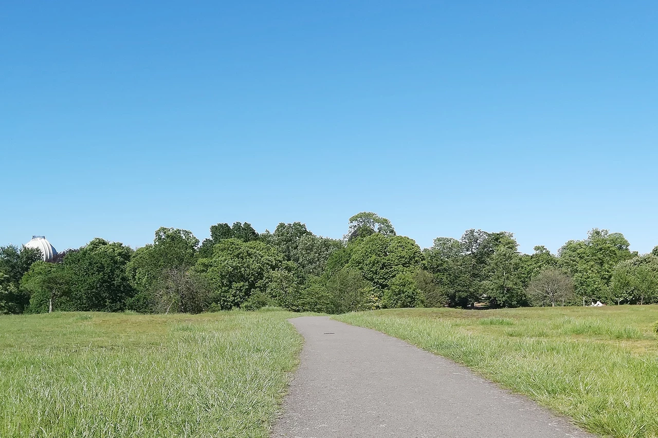 Low grassy mounds that are Anglo-Saxon barrows