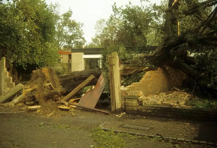 Damaged building caused by a fallen tree in Greenwich Park