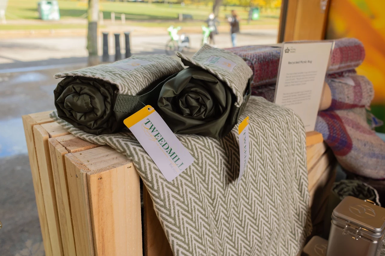 A green picnic rug is rolled up in the foreground. Pink blankets are folded in the background.