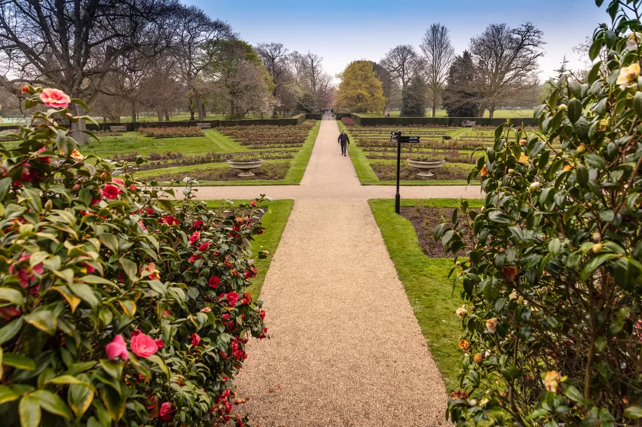 A view of the Greenwich Park Rose Garden looking down one of the central pathways
