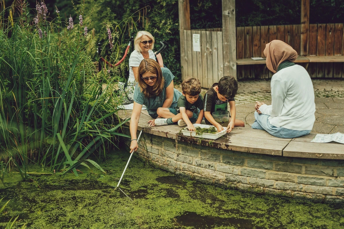 Pond dipping spring discovery days