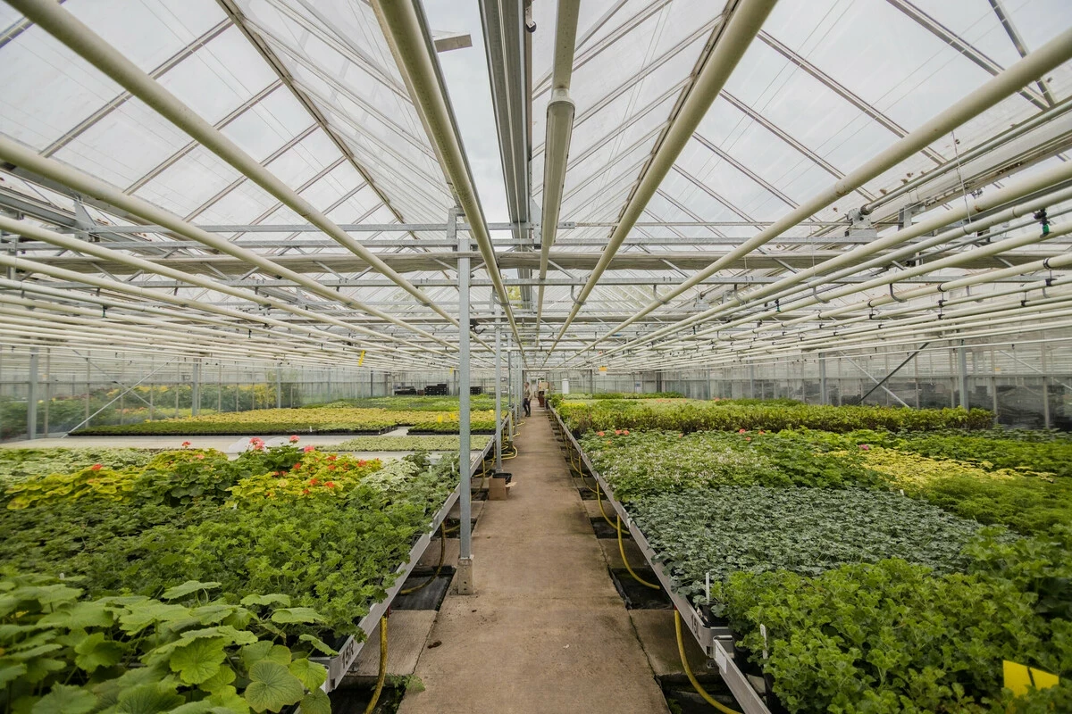 Hyde Park plant nursery