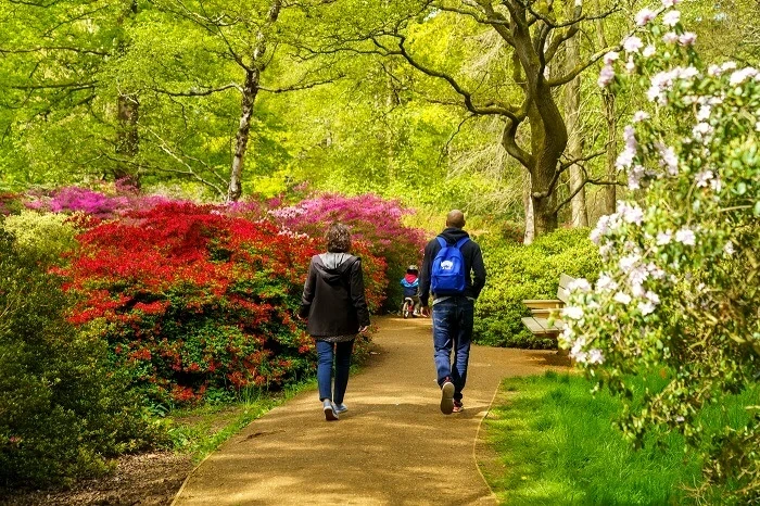 Visitors in the Isabella Plantation in Richmond Park
