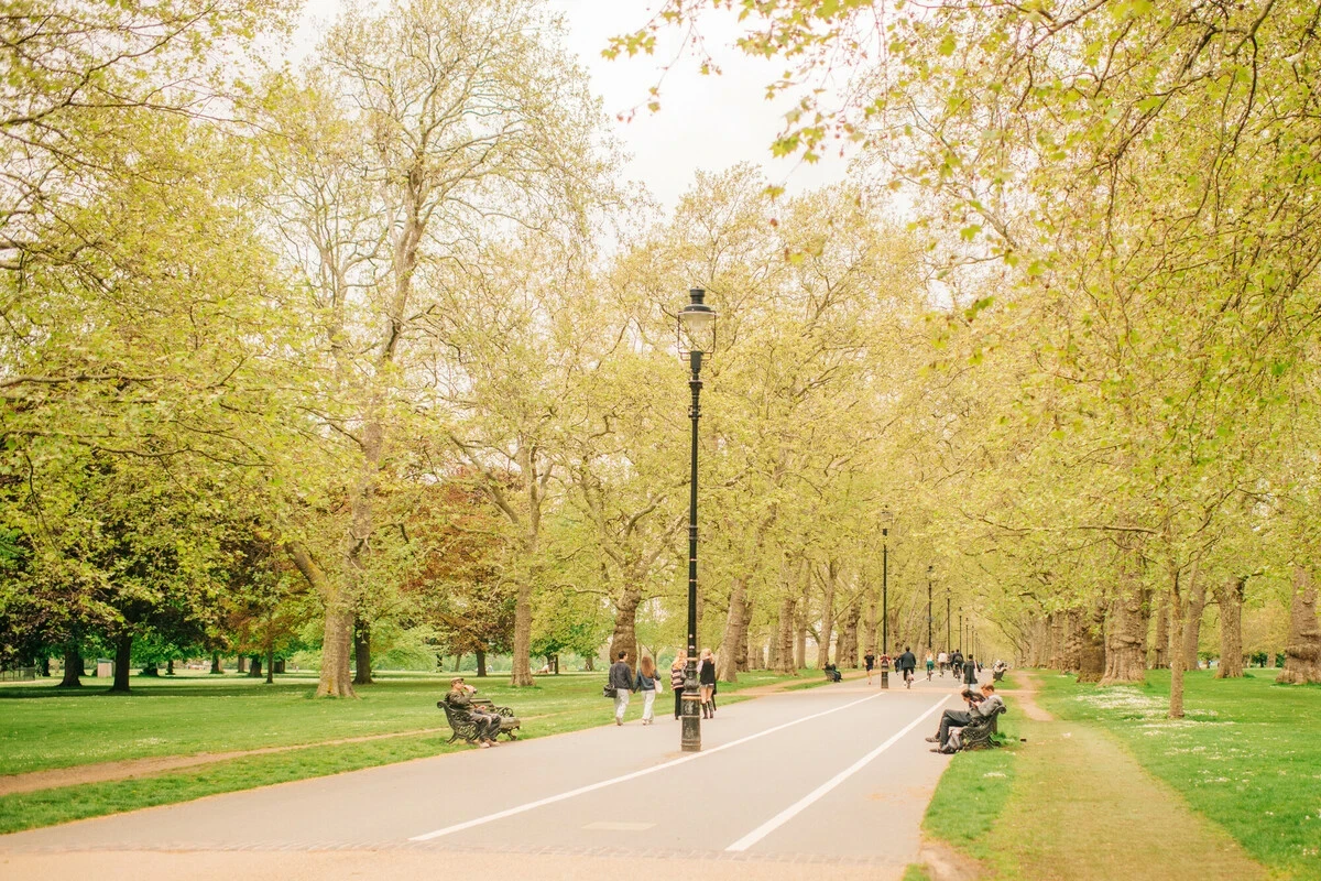 The Broad Walk in Spring in Hyde Park