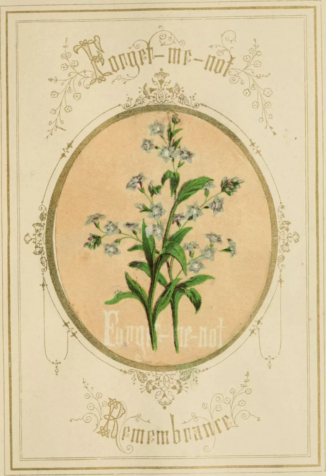 The Language of Flowers: An Alphabet of Floral Emblems (1857)