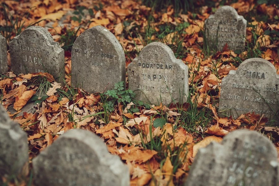 Grave of Tappy the dog