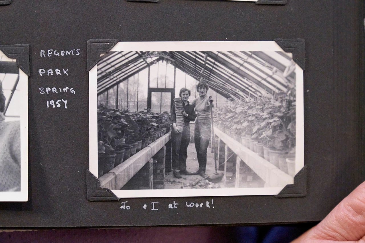 Jo at work in the glasshouses at The Regent’s Park