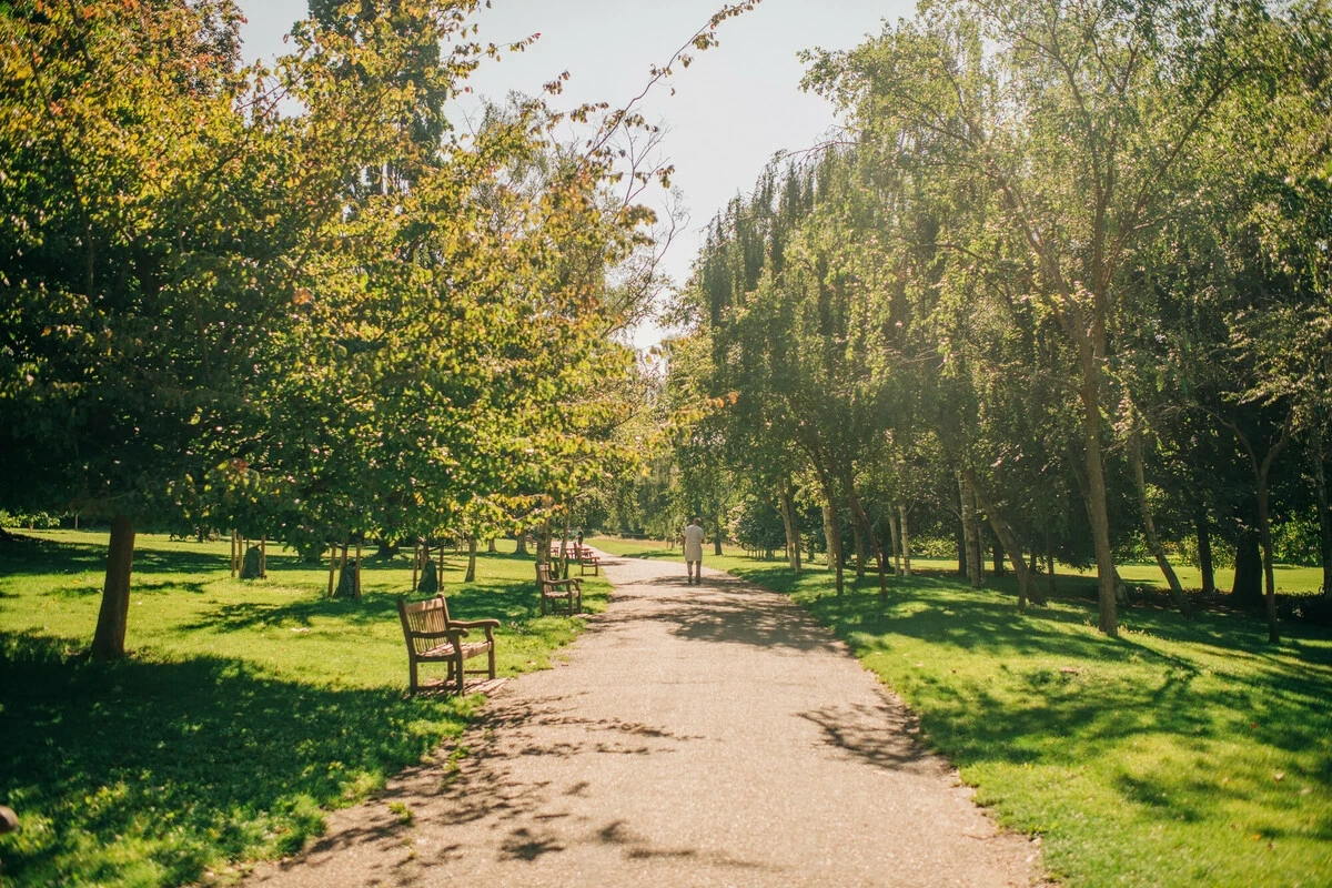 Summer in Hyde Park