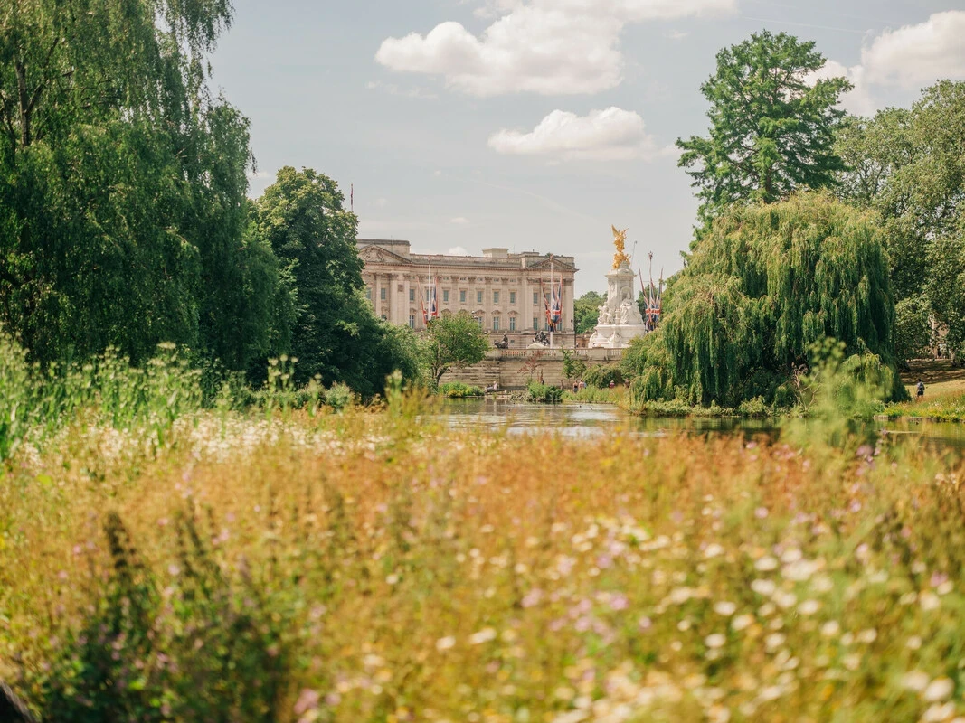 St. James's Park in summer