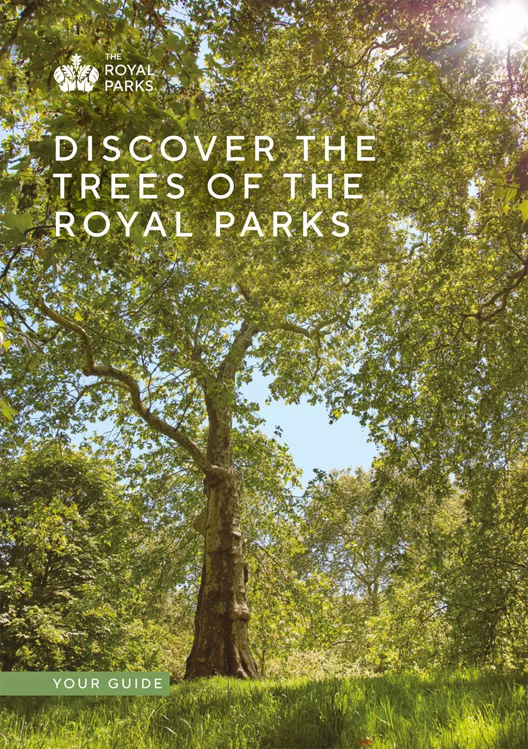 Discover the trees of the Royal Parks (booklet cover image)