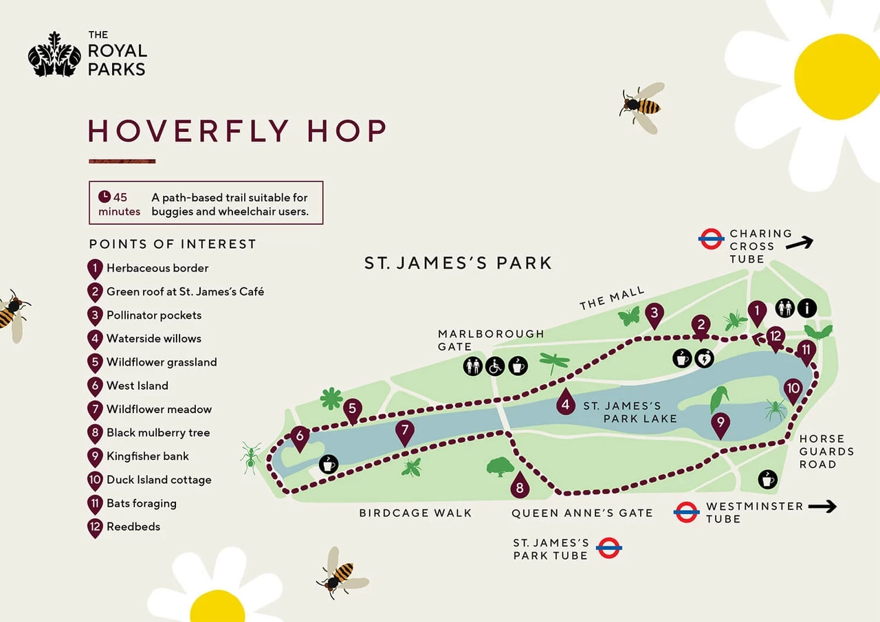 Thumbnail image of the Hoverfly Hop map