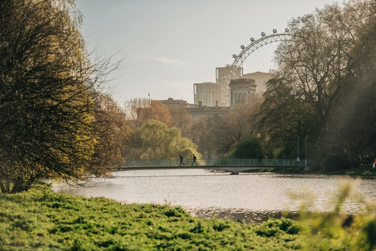 St. James's Park in autumn