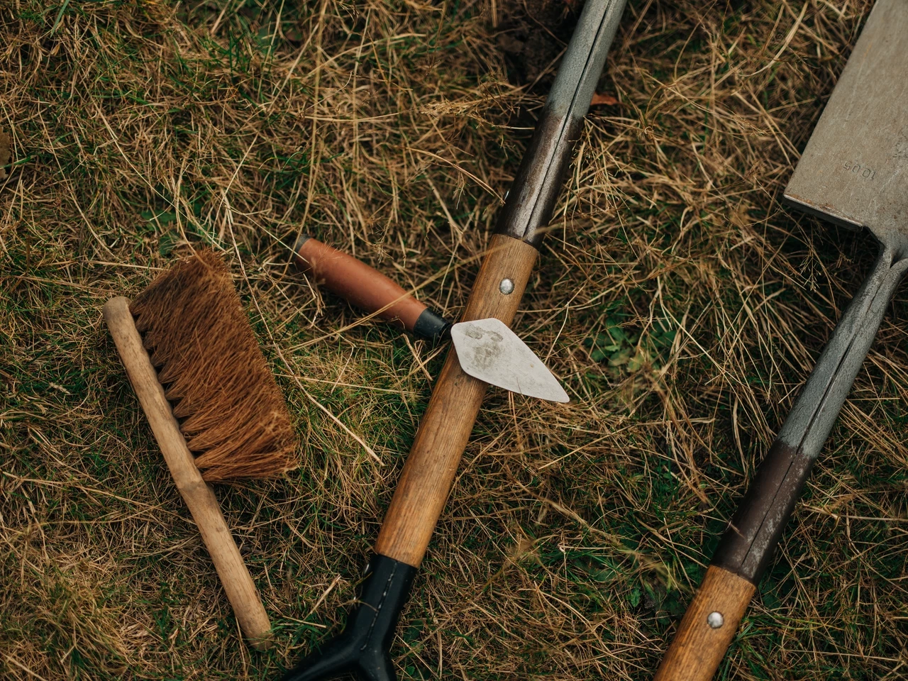 A group of archaeological tools including a trowel and a brush lie on the grass