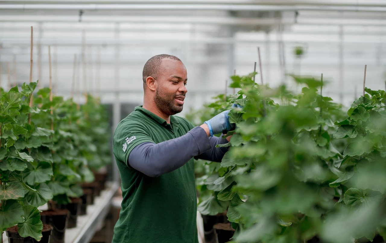 Hyde Park nursery staff member
