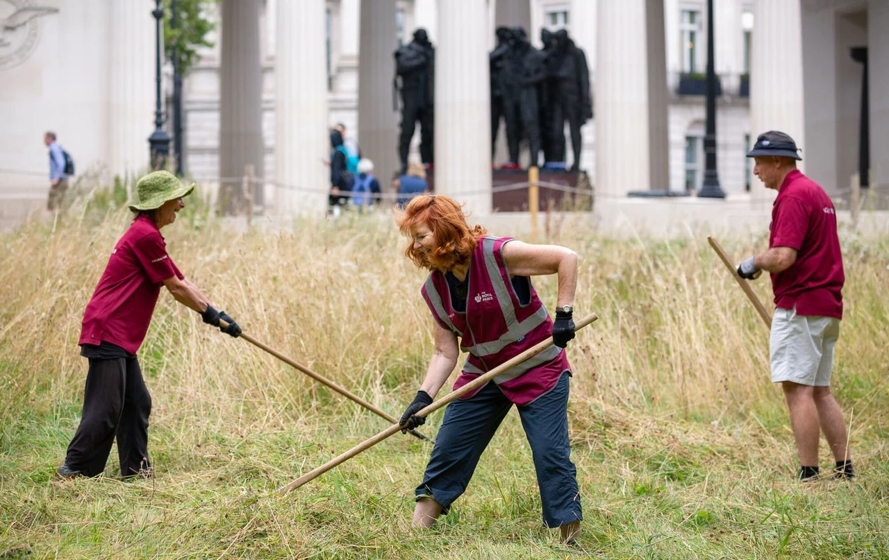 Volunteers cutting the grass with traditional tools