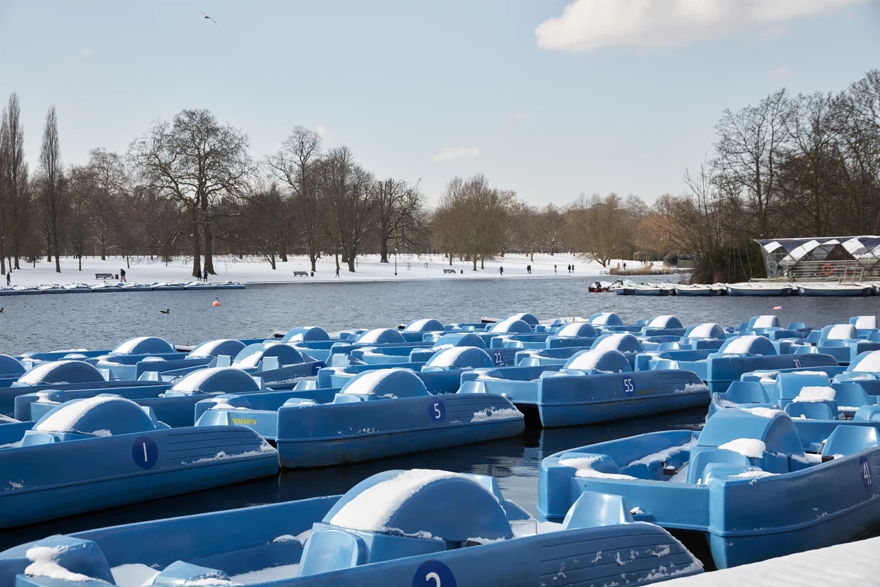 A host of blue boats moored by a lake.