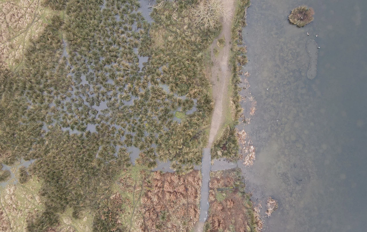 Heron Pond viewed from above