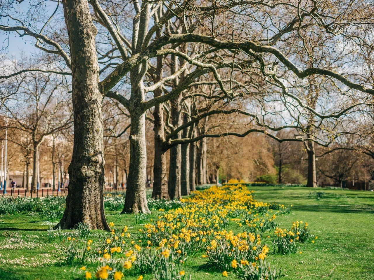 St James's Park FAQ Hero Spring