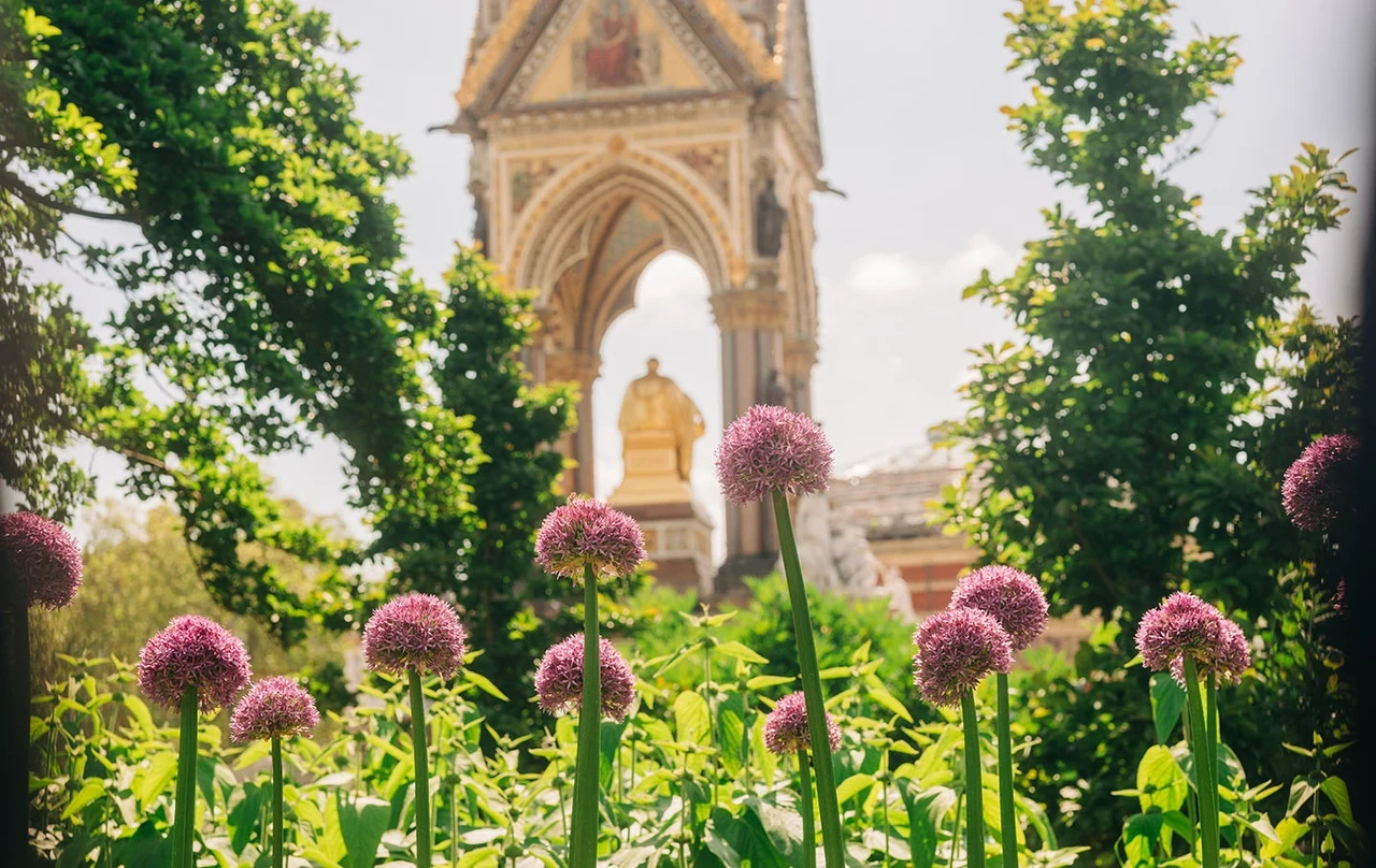 Pink flowers in front of the Albert Memorial