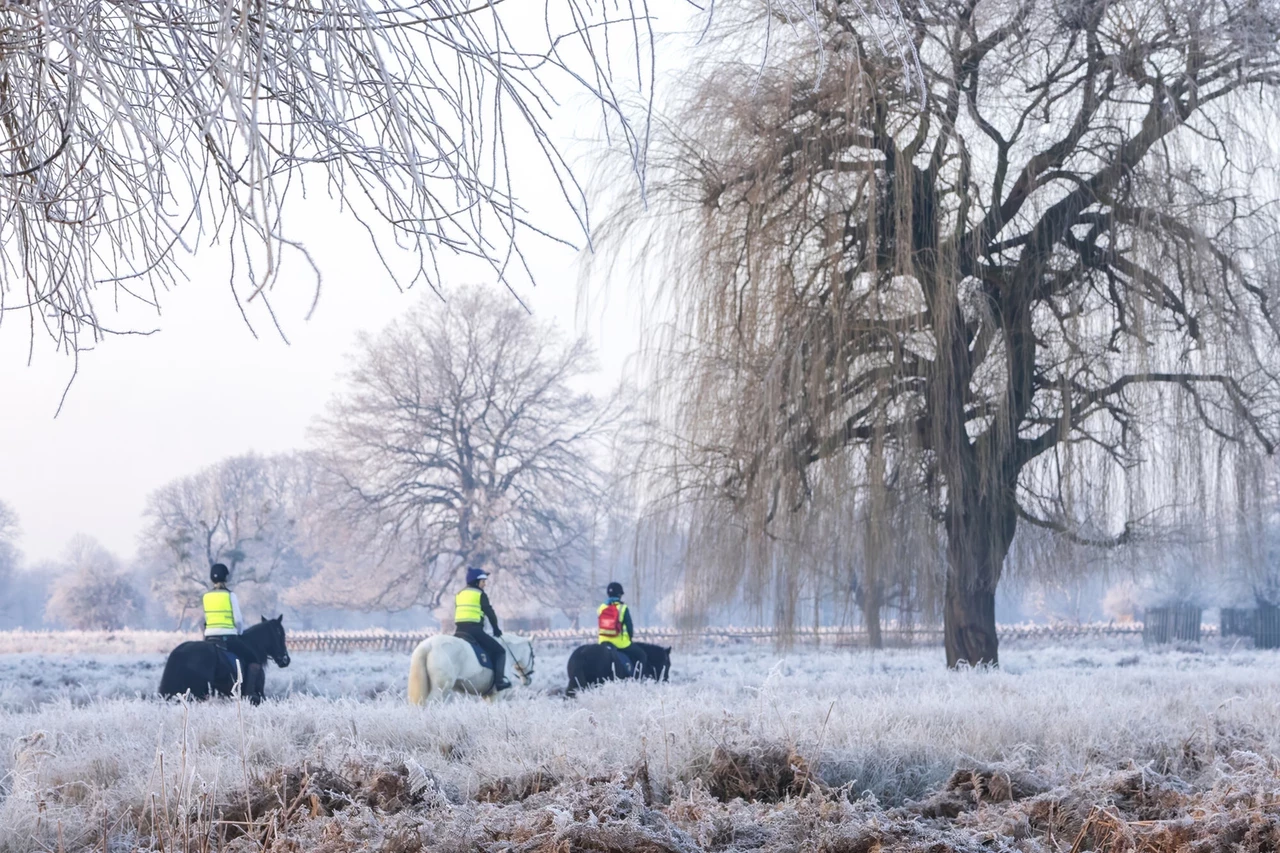 A month in photos - January 2025